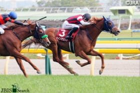 JRA横山武史も「首を傾げた」ウインマリリンの状態不安説……、ファンからは「エリザベス女王杯を回避して」の大合唱!?