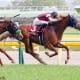 JRA アカイトリノムスメは「金取りの娘」!? 今年の秋華賞馬がエリザベス女王杯(G1)で信用するのが危険なワケ