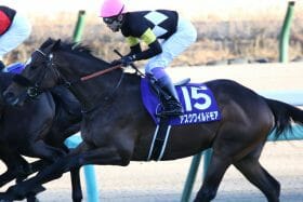 JRAジオグリフ、イクイノックス、ドウデュース、ダノンベルーガの4強で思い出される2014年の大波乱……今年の「大穴」マイネルフロスト2世はこの馬？