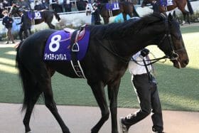 JRA菊花賞（G1）「史上最低」レベルの風評に異議あり!? ディープインパクトやオルフェーヴル超えの魅力、酷評されたあのレースから「希望の星」が登場