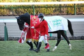 JRA皐月賞（G1）横山武史キラーアビリティVS武豊ドウデュースはどちらに軍配？ 直接対決は勝率100％！ ホープフルSと朝日杯FS優勝馬の対戦成績はコチラ