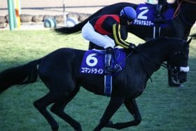 JRA　C.ルメール“国外逃亡”で責任回避!? 元ダービー馬候補「有言実行」懸かる背水の陣、大役任されたのは「鬼タックル」食らった因縁の相手
