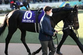 JRA横山一家で「同士討ち」がマテンロウレオ惨敗の決定打!? 強行ローテで凡走も陣営の「単純明快」理由に悲観なし