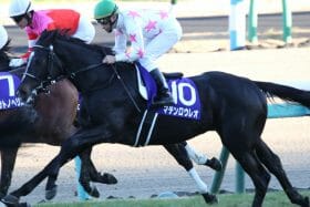 JRA「強行軍？」マテンロウレオの弥生賞（G2）出走に賛否。「21世紀の出走ゼロ」スペシャルウィーク、ナリタトップロードが歩んだ黄金ローテに意外な死角