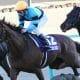 JRA「短距離血統」「ノド鳴り」ジオグリフの日本ダービー（G1）挑戦は不安しかないのか。ノーザンファーム場長が仄めかした「大逆転の二冠」のシナリオ
