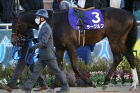 「土日5勝」武豊が川田将雅、C.ルメールに負けない存在感…ジャックドールと挑む札幌記念最多勝、絶好調男たちの直接対決に「スーパー金髪」が不気味