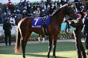 JRAスプリングS（G2）2戦連続「レコード勝ち」の大器が評価急落!? G1大敗からの巻き返しで皐月賞（G1）への切符を掴む！