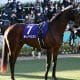 JRA【スプリングS(G2)予想】武豊×藤田晋ドーブネは余裕の切り! 実績馬・評判馬に死角あり……狙える穴馬をピックアップ