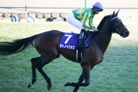 JRA春G1で3連勝中の「トレンド」に該当！ 皐月賞馬輩出の中山巧者一族、エフフォーリアと同じ父を持つ絶好の「穴候補」はこれ