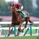 JRA朝日杯FS(G1)ジオグリフ、コマンドラインに「共倒れ」疑惑が急浮上!? C.ルメールの使い分けだけじゃない違和感の正体