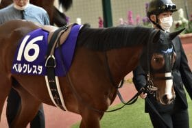 JRA桜花賞（G1）「サークルオブライフと双璧」安藤勝己氏も絶賛！ プレサージュリフトに引けを取らない素質馬が絶好調男を背に勝負駆け⁉