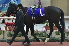 桜花賞（G1）武豊ウォーターナビレラ「絶好枠」で好戦必至！ ナミュール、サークルオブライフは苦戦免れず…一発狙える内枠の穴馬も軽視は厳禁