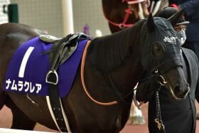 「斤量がおかしい？」ナムラクレアVSメイケイエールに違和感…何故、京都牝馬S（G3）にG1級が集結したのか。合計「重賞10勝」コンビが56kgで出走できるわけ