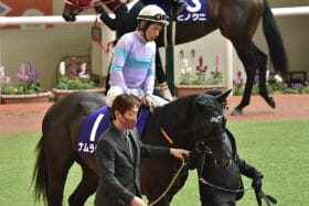 元JRA田原成貴氏が浜中俊に「辛辣」過ぎる公開説教？「下手だった」「俺乗ってたら勝ってたかも」…スプリンターズSナムラクレアはなぜ負けたのか