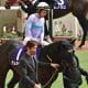 JRA「単勝229倍」ピンハイ激走は当然!? 昨年フィリーズレビュー(G2)も11番人気3着好走…驚異的「阪神キラー」あの種牡馬に要注意!