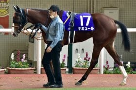 JRA【桜花賞（G1）展望】ナミュールVSサークルオブライフ「3度目対決」で決着へ！未知の魅力プレサージュリフトと武豊ウォーターナビレラも虎視眈々