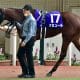 JRA桜花賞(G1) 横山武史「3度目の正直」へ絶対に負けられない1戦! 2度あることは3度ある? 人馬に付き纏う「不安要素」とは