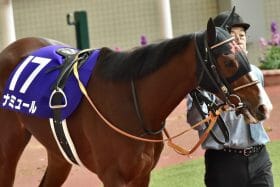 JRA【ヴィクトリアマイル直ナマ情報】武豊×ナミュール、J.モレイラ×マスクトディーヴァに続く「3頭目」は…歴代最少頭数＆上位人気順調で今年は波乱ナシ!?　