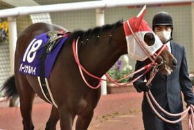 JRA背水の陣「中1週」で狙うラスール斬り！ 大目標オークス出走のために「世界の矢作」が全力投球