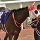 JRA“非情”の乗り替わりに見るオークス（G1）「鞍上問題」ドタバタ劇……福永祐一に新コンビも、主戦C.ルメールが浮上しなかった理由