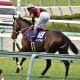 JRAオークス(G1)川田将雅「致命的」な選択ミス!? 桜花賞組の優位動かず…アートハウスに「足りないもの」とは何だったのか
