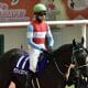中川翔子「ゴールドシップ訪問」に競馬ファン騒然!? 『ウマ娘』にドハマリで競馬に興味津々、今後は競馬番組に進出も?
