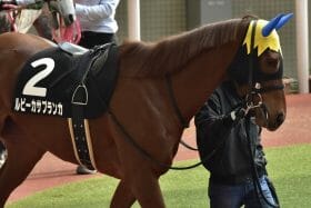 JRA【福島牝馬S（G3）展望】武豊×ルビーカサブランカ「巻き返し」必至！ 中山牝馬S（G3）「173万馬券」演出した2頭にも注目