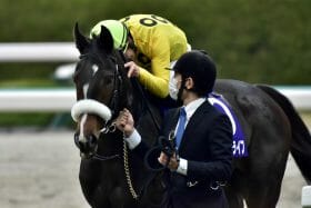 チューリップ賞（G2）「鬼門の克服」は国枝栄師の秘策次第!? 元JRA安藤勝己氏“絶賛”サークルオブライフに浮かび上がった「難題」とは