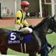 JRA和田竜二「ドン詰まり」に辛辣過ぎるトレンドついた!? 京都金杯(G3)ステルヴィオでイチかバチかの賭けに失敗