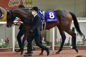 JRA「不可解」発言の福永祐一にファンも異論なし!? 復活誓った「元G1候補」のチューリップ賞（G2）大敗に、早くも漂う諦めムード