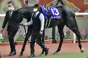 【クイーンS（G3）展望】武豊JRA重賞350勝へ、ウォーターナビレラ始動！