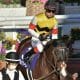 JRA「単勝229倍」ピンハイ激走は当然!? 昨年フィリーズレビュー(G2)も11番人気3着好走…驚異的「阪神キラー」あの種牡馬に要注意!