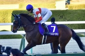 JRA【アーリントンC（G3）展望】大本命ダノンスコーピオンに「49戦0勝」のジンクス、 武豊デュガには距離の壁……混戦必至のレースを制するのは