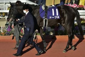 「153万馬券」フェブラリーS超えの大波乱も？一筋縄ではいかない中山記念＆阪急杯「激走候補」4頭はこれ
