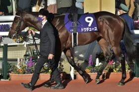 侍ジャパンと友道康夫厩舎に共通点？“現役最強”ドウデュースがもたらす好影響