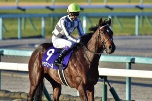 高松宮記念】三冠馬ナリタブライアンの参戦に度肝を抜かれたG1昇格元年…鉄則に基づいた「今年の軸」はあの優等生【東大式必勝馬券予想】 | GJ