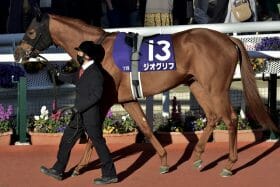 JRA大出世レース・共同通信杯（G3）今年も「超大物」続々……。ジオグリフVSダノンスコーピオン、昨年のエフフォーリアに続く大器出現の予感
