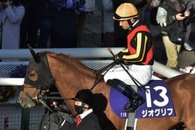JRA ジオグリフ完敗でも皐月賞（G1）で逆転は十分、C.ルメールの「ポジティブ発言」でクラシック候補脱落は早計？