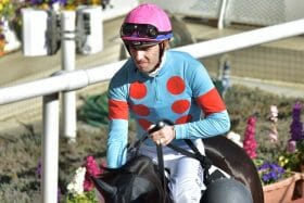 連対率91％の超優良助っ人が「まさか」の裏切り続き…天皇賞・秋（G1）シャフリヤールに心配の声