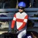 エリザベス女王とディープインパクトの間に意外な繋がり、日本競馬を裏から支えた“競馬好き”の影響力