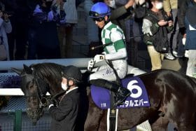 JRA 競馬界随一の｢鉄人｣が1週間で復帰！ フェブラリーS（G1）騎乗断念の借りを阪急杯（G3）で返せるか