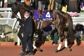 JRA　NHKマイルC（G1）安藤勝己氏「ある程度成長してれば勝てる」セリフォスに太鼓判！ 異例の長期休養明けは中内田マジックで問題なし？