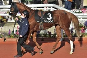 【セントウルS（G2）展望】「秋」を見据えるママコチャと「夏」にかけるピューロマジックが激突！