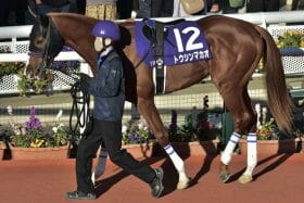 JRAシルクロードS（G3）は「アノ条件」から狙える？ トウシンマカオや「好配当の使者」に熱視線!!