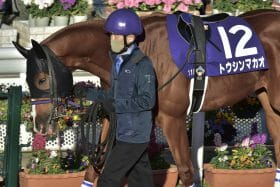 サクラバクシンオーの血が騒ぐ!? キーンランドC（G3）は「もう1頭の3歳馬」に注目、藤沢和雄調教師の英断からG1馬になったアノ馬の記憶