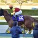 【UAEダービー(G2)展望】JRA馬が4頭登場! 快速G1馬の半兄と5戦5連対馬が世界に挑む! ライバルはアメリカの強豪もロシアの強烈追い込み馬にも警戒!?