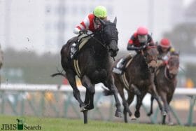 JRA有馬記念（G1）アカイイトのエリザベス女王杯はフロック？それとも真の実力？真っ二つに分かれた「ベテランVS若手」記者の見解