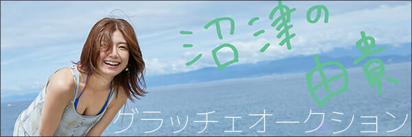 グラドル情報サイト『グラッチェ』オープン記念! 応募者全員に新海まき年賀状プレゼントの画像4