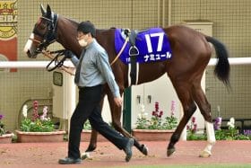 元JRA藤田伸二氏「アッサリもあったか」ナミュールに高評価も阪神JF（G1）本命馬「痛恨」空振りの大誤算!?