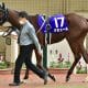 JRA「○○で逢いましょう」連想させる珍名馬にファン大混乱!? 一見NGスレスレに「よく通ったな」も変化球で攻めた馬名の由来に納得